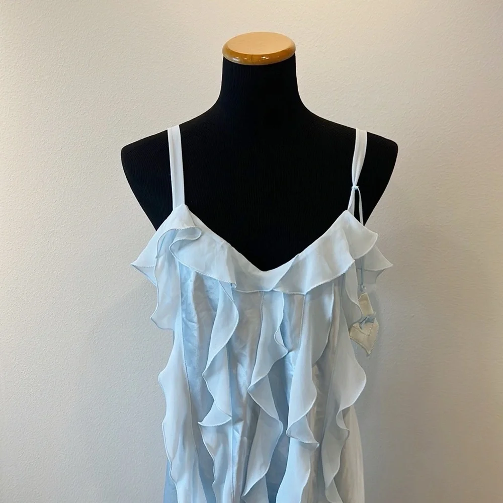 NWT Flora Nikrooz Chiffon Ruffle Chemise